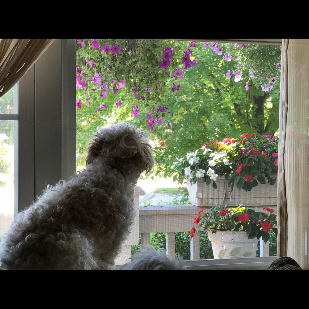 Meet your Posher, Julie